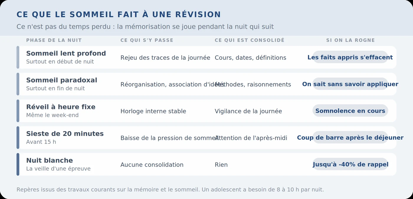 Ce que le sommeil fait à une révision