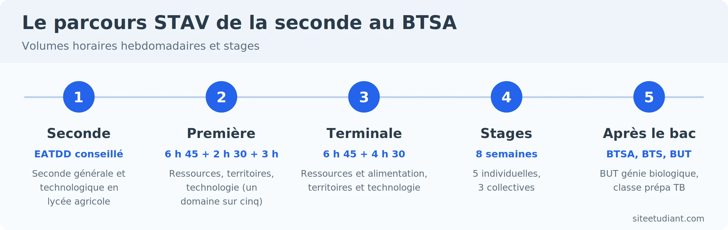 Le parcours STAV de la seconde aux études supérieures du vivant.