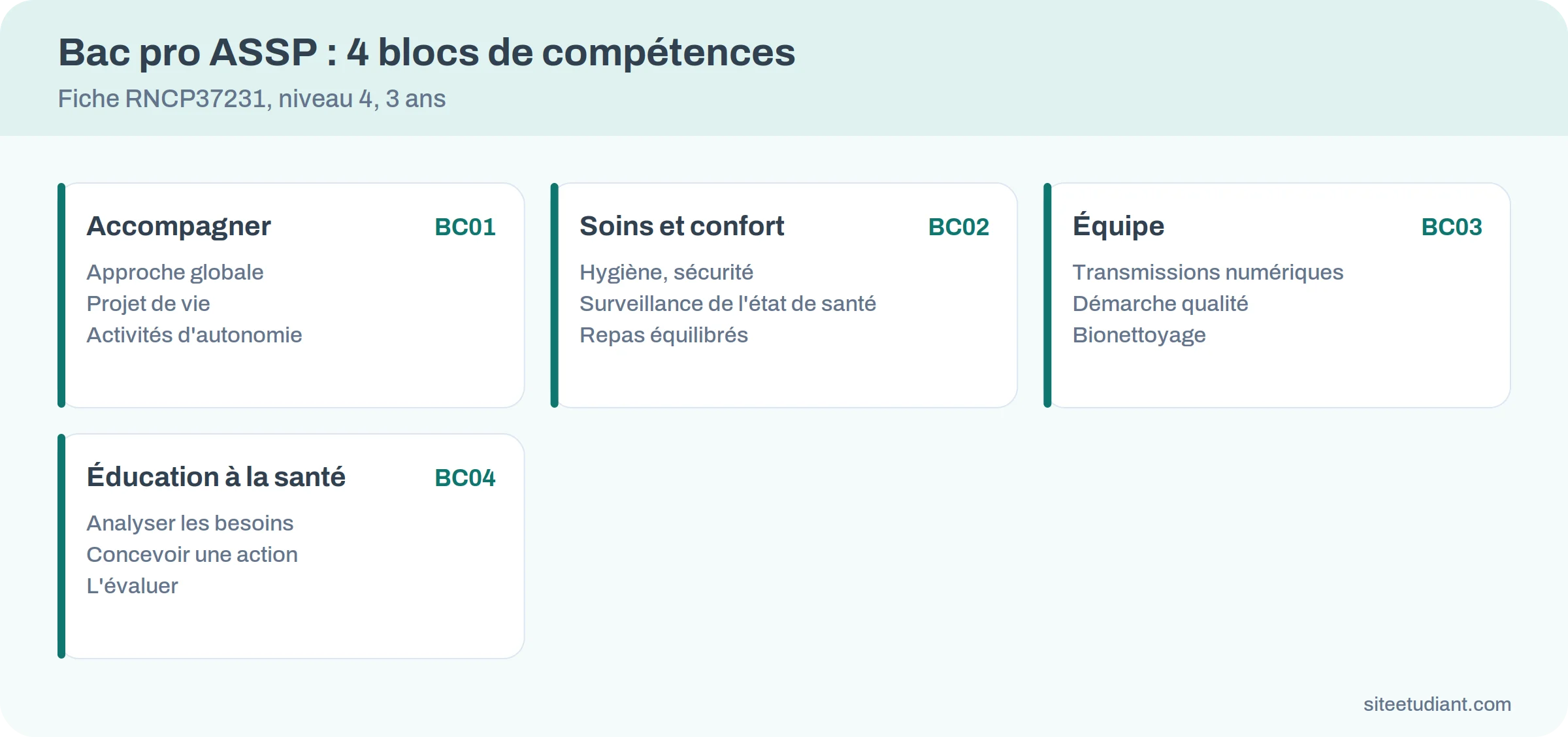 Les quatre blocs de compétences du bac pro ASSP en infographie